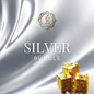 Silver Bundle